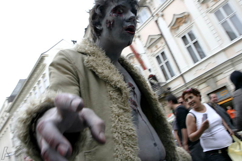 zombiewalk - 17.5.08
