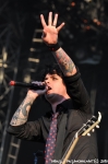 Green Day - 29.6.10 - fotografie 35 z 119