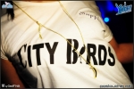 City birds - 10.2.12 - fotografie 13 z 56
