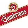 Vyhlašujeme soutěž s pivem Gambrinus