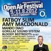 OPEN AIR FESTIVAL, 9.-11.8. Panensk� T�nec