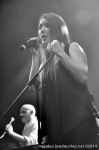 Dabbi - 14. 2. 2014 - fotografie 66 z 66
