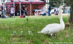 Fotky z Festia Open Air v Branku - fotografie 2