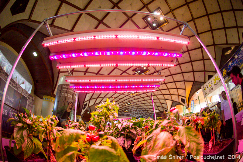 CANNAFEST PRAGUE - Pátek 7. 11. 2014 až Neděle 9. 11. 2014