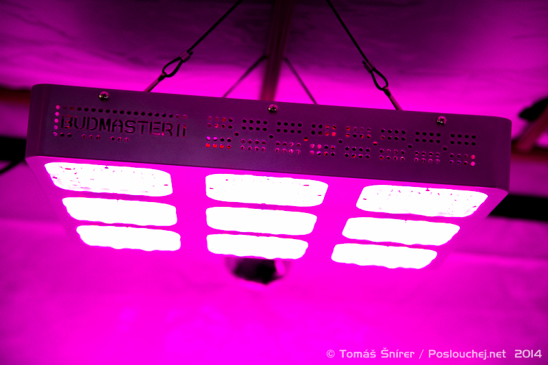 CANNAFEST PRAGUE - Pátek 7. 11. 2014 až Neděle 9. 11. 2014