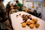 Cannafest - 8. 11. 2014 - fotografie 64 z 114