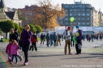 Cannafest - 8. 11. 2014 - fotografie 88 z 114
