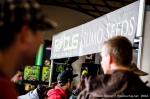 Cannafest - 8. 11. 2014 - fotografie 96 z 114