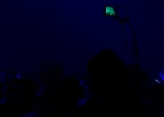 Let It Roll Winter - 27. 02. 2015 - fotografie 112 z 113