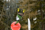 Audi Snowjam - 14. 3. 2015 - fotografie 83 z 184