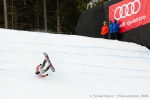 Audi Snowjam - 14. 3. 2015 - fotografie 91 z 184