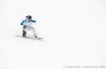 Audi Snowjam - 14. 3. 2015 - fotografie 99 z 184