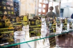 Cannafest - 6. 11. 2015 - fotografie 16 z 76