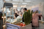 Cannafest - 12. 11. 2016 - fotografie 82 z 136