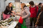 Cannafest - 12. 11. 2016 - fotografie 83 z 136