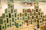 Cannafest - 12. 11. 2016 - fotografie 85 z 136