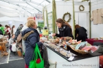 Cannafest - 12. 11. 2016 - fotografie 91 z 136