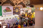 Cannafest - 12. 11. 2016 - fotografie 121 z 136