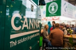 Cannafest - 12. 11. 2016 - fotografie 132 z 136