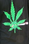 Million Marihuana March - Praha - 7.5.06 - fotografie 180 z 218