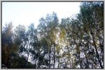 Svojšice - 15.7.06 - 2. ?ást - fotografie 147 z 171