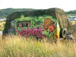 Czechtek 29.7.06 - fotografie 76 z 172