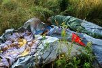 Czechtek 29.7.06 - 2. ?ást - fotografie 281 z 294