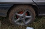 Czechtek 29.7.06 - 3. ?ást - fotografie 137 z 316