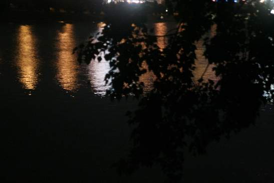 BeeFree - Bratislava - 4.8. 06