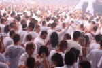 sensation white - 6.10. - druha cast - fotografie 172 z 216