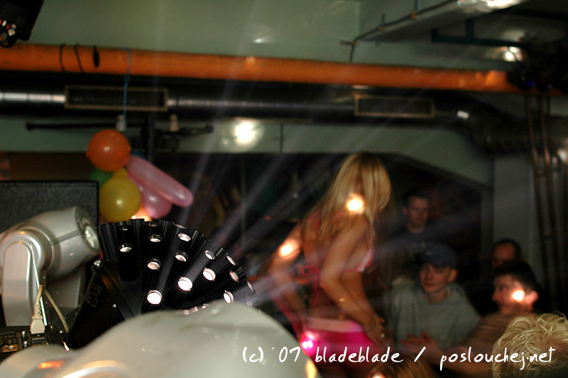 divoke kocky - 19.10.07