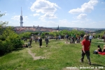 Fotky z Global Marihuana March  - fotografie 54