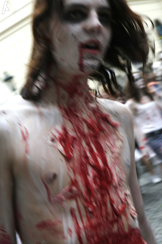 zombiewalk - 17.5.08