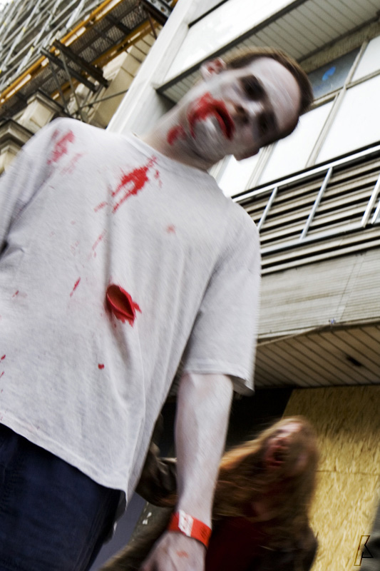 zombiewalk - 17.5.08