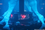 sensation3 - 31.5.08 - fotografie 112 z 137