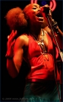 tvrt fotky ze Summer of Love - fotografie 14