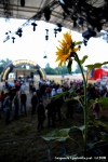 Druh fotky ze Summer of Love - fotografie 53