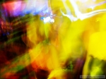 magion - 12.9.08 - fotografie 86 z 100