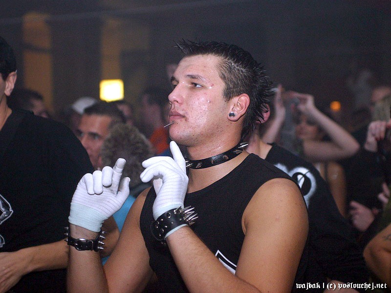 PIGFEST - Pátek 24. 10. 2008 až Sobota 25. 10. 2008