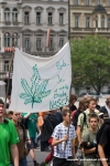 Fotky z Million Marihuana March - fotografie 26