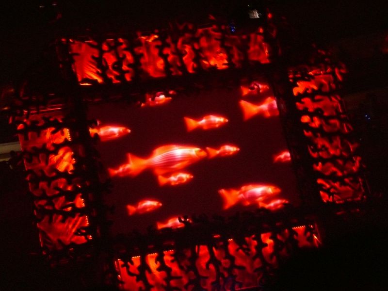 SENSATION - Sobota 6. 6. 2009