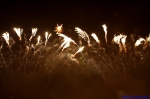 Druh fotky z Pyro Music Laser festu - fotografie 84