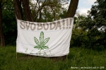 Fotoreport z Million Marihuana March - fotografie 27