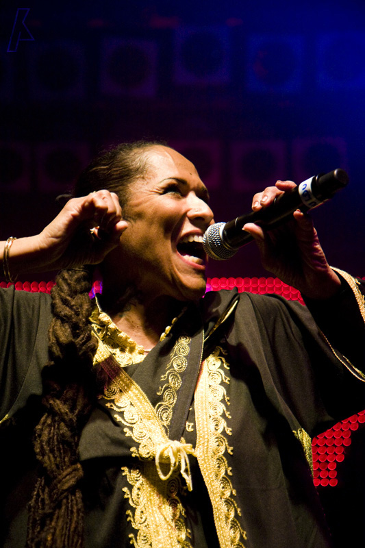 koncert: THIEVERY CORPORATION - Sobota 5. 6. 2010