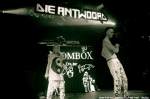 die antwoord - 7.7.10 - fotografie 66 z 107