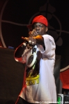 Public Enemy - 31.10.10 - fotografie 73 z 77