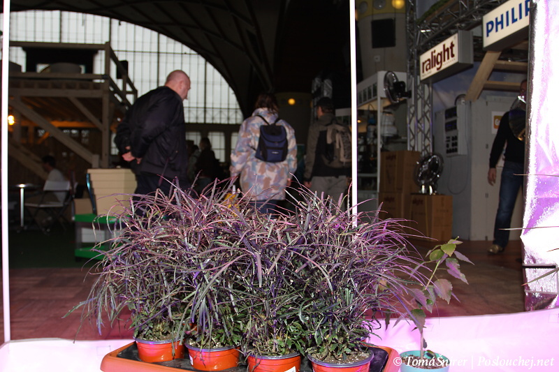 Cannafest - 19.11.10