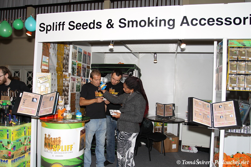 Cannafest - 19.11.10