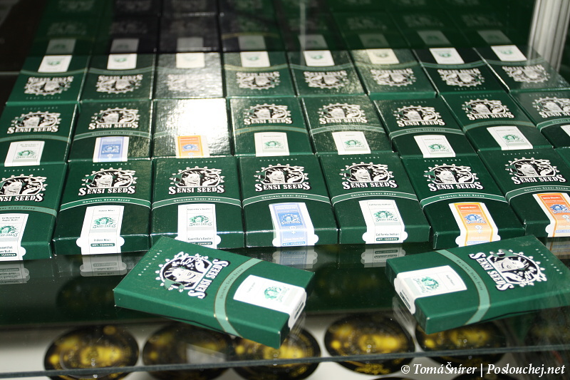 Cannafest - 19.11.10