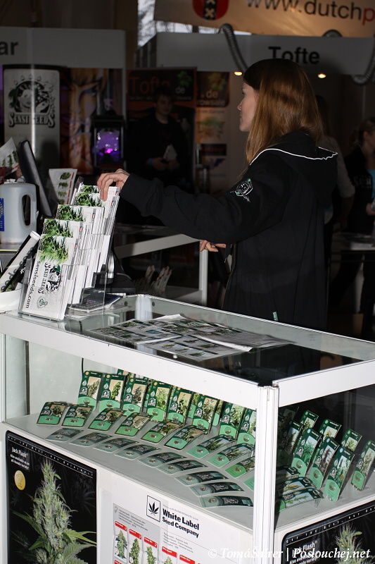 Cannafest - 19.11.10